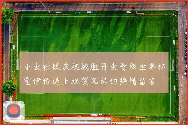 小麦社媒庆祝战胜丹麦晋级世界杯霍伊伦送上祝贺兄弟的热情留言