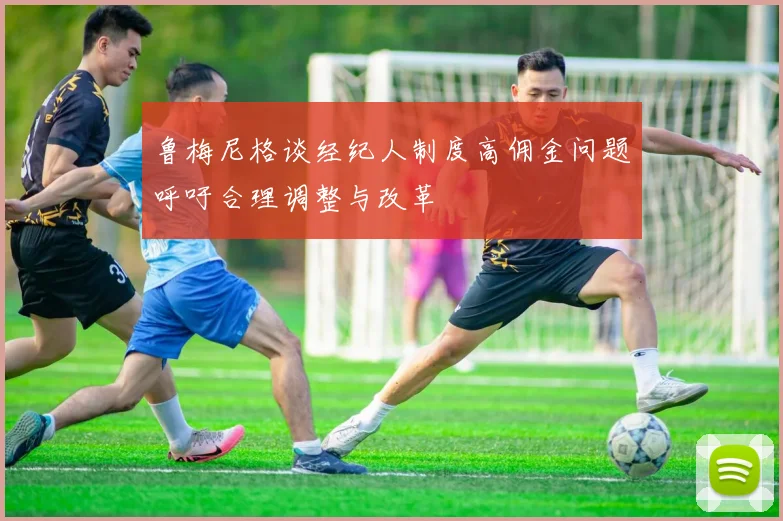 鲁梅尼格谈经纪人制度高佣金问题呼吁合理调整与改革