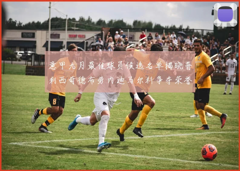 意甲九月最佳球员候选名单揭晓普利西奇德布劳内迪马尔科争夺荣誉