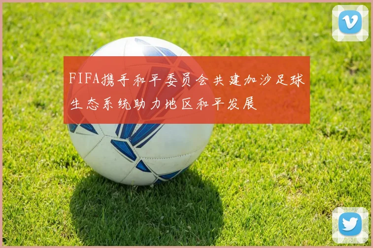 FIFA携手和平委员会共建加沙足球生态系统助力地区和平发展